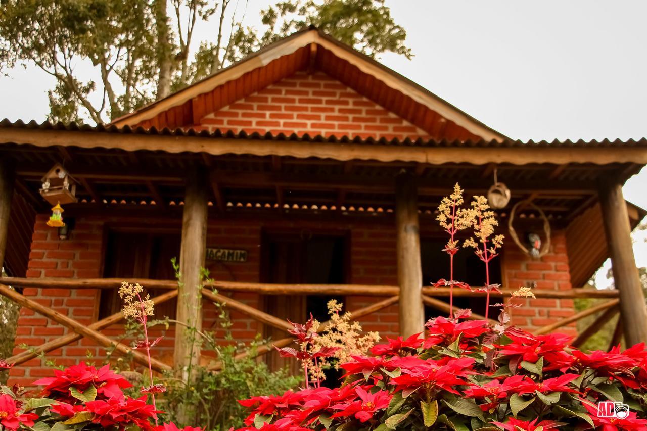 Córrego do Bom Jesus Chales Kayoa מראה חיצוני תמונה